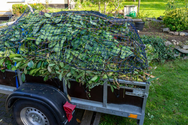 Best Hoarding Cleanup  in Jerome, ID